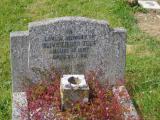 image of grave number 795918